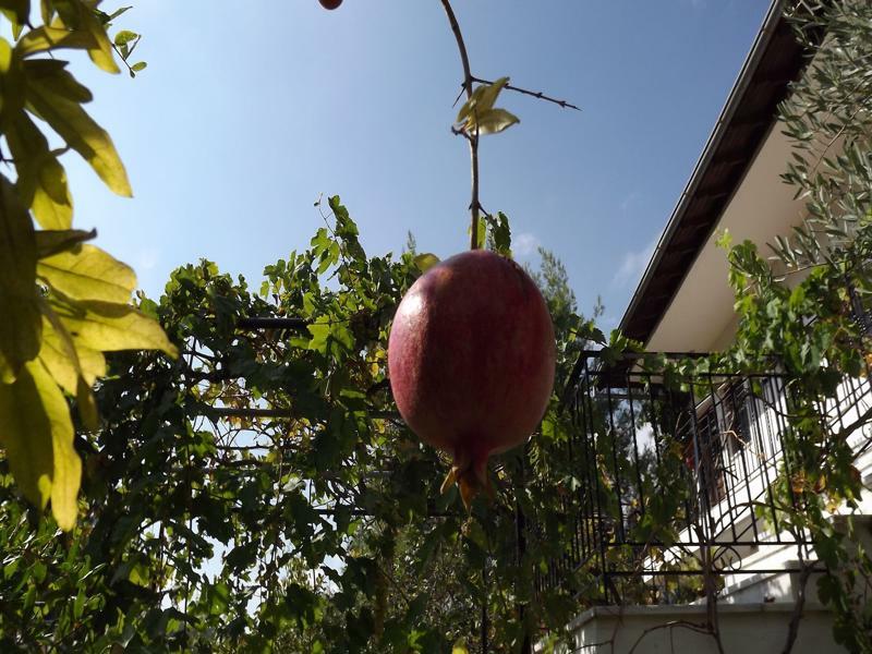 Pefka &